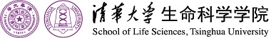 永利集团yl
